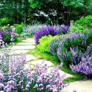 151 Garden Edging and Border Ideas - Lawn and Garden Unlimited #gardenedging #gardenborders #gardeninspiration #gardenideas